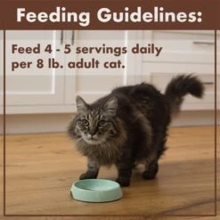 Nutro Perfect Portions Grain-Free Real Salmon & Tuna, Real Chicken & Shrimp Recipe Pate Variety Pack Adult Wet Cat Food Trays 18 Nutro Perfect Portions Grain-Free Real Salmon & Tuna, Real Chicken & Shrimp Recipe Pate Variety Pack Adult Wet Cat Food Trays -Blue Buffalo Shop 128569 PT7. AC SS1800 V1702678670