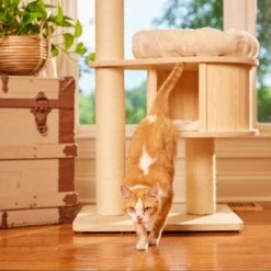 Nutro Perfect Portions Grain-Free Real Turkey & Real Chicken Cuts In Gravy Recipe Variety Pack Adult Wet Cat Food Trays 15 Nutro Perfect Portions Grain-Free Real Turkey & Real Chicken Cuts In Gravy Recipe Variety Pack Adult Wet Cat Food Trays -Blue Buffalo Shop 128587 PT4. AC SS1800 V1702678350