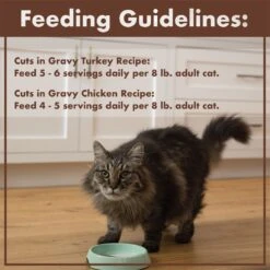 Nutro Perfect Portions Grain-Free Real Turkey & Real Chicken Cuts In Gravy Recipe Variety Pack Adult Wet Cat Food Trays 18 Nutro Perfect Portions Grain-Free Real Turkey & Real Chicken Cuts In Gravy Recipe Variety Pack Adult Wet Cat Food Trays -Blue Buffalo Shop 128587 PT7. AC SS1800 V1702678350