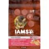 Iams ProActive Health High Protein Chicken & Salmon Recipe Dry Cat Food 2 Iams ProActive Health High Protein Chicken & Salmon Recipe Dry Cat Food -Blue Buffalo Shop 128630 MAIN. AC SS1800 V1623278249