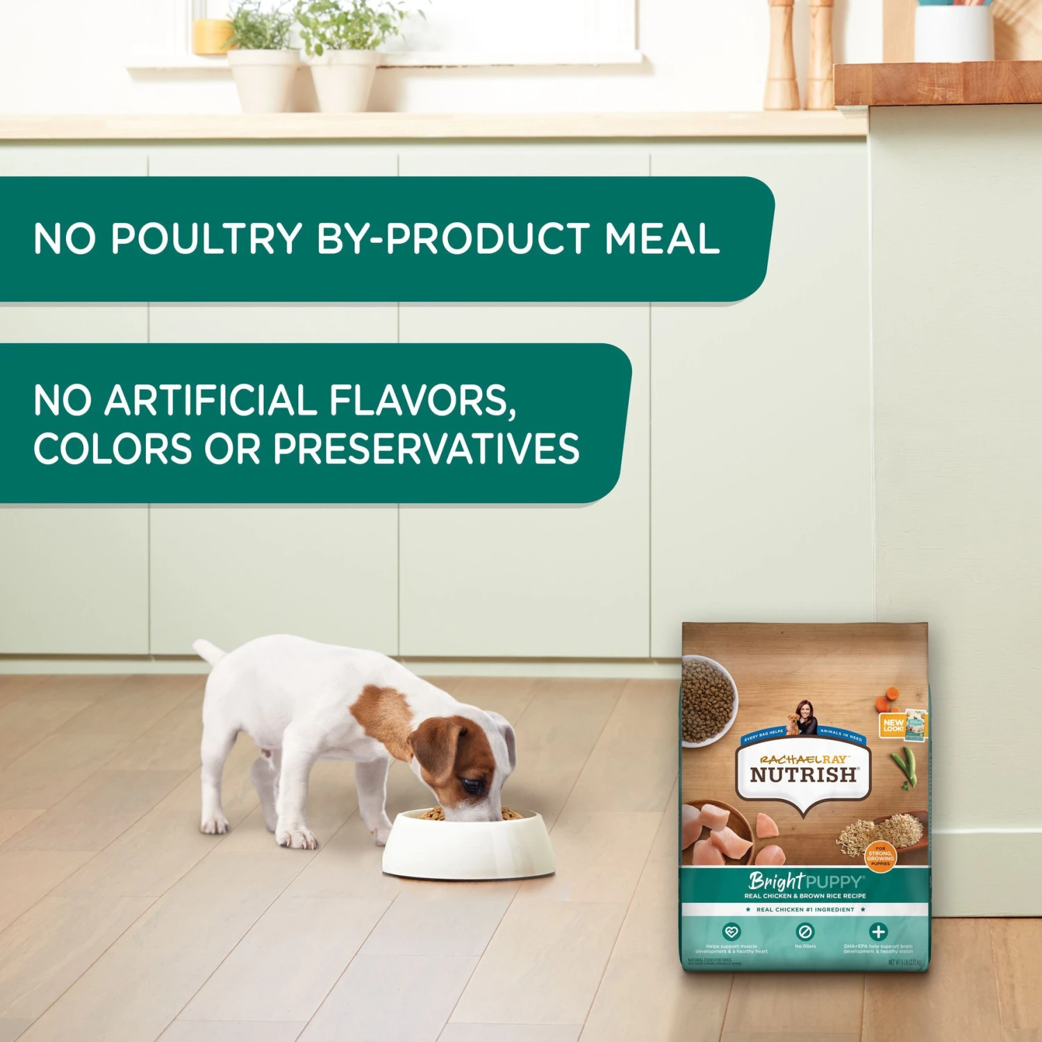 Rachael Ray Nutrish Bright Puppy Natural Real Chicken & Brown Rice Recipe Dry Dog Food 7 Rachael Ray Nutrish Bright Puppy Natural Real Chicken & Brown Rice Recipe Dry Dog Food - Image 5