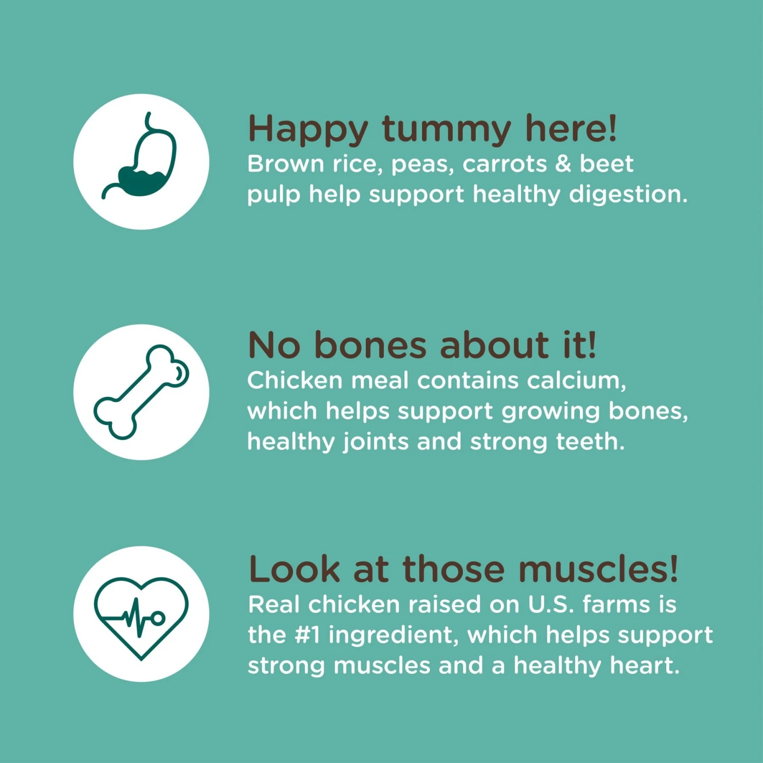 Rachael Ray Nutrish Bright Puppy Natural Real Chicken & Brown Rice Recipe Dry Dog Food 8 Rachael Ray Nutrish Bright Puppy Natural Real Chicken & Brown Rice Recipe Dry Dog Food - Image 6