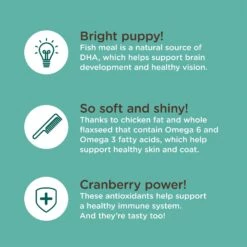 Rachael Ray Nutrish Bright Puppy Natural Real Chicken & Brown Rice Recipe Dry Dog Food 17 Rachael Ray Nutrish Bright Puppy Natural Real Chicken & Brown Rice Recipe Dry Dog Food -Blue Buffalo Shop 129819 PT6. AC SS1800 V1657655411