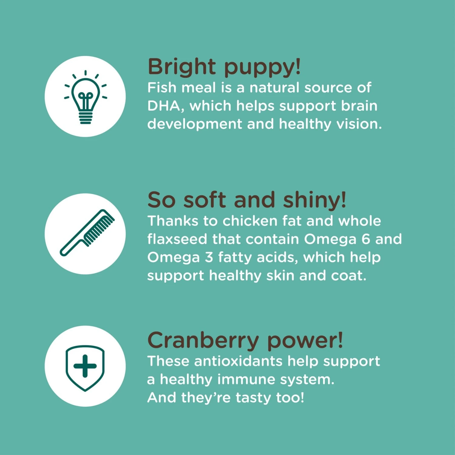 Rachael Ray Nutrish Bright Puppy Natural Real Chicken & Brown Rice Recipe Dry Dog Food 9 Rachael Ray Nutrish Bright Puppy Natural Real Chicken & Brown Rice Recipe Dry Dog Food - Image 7