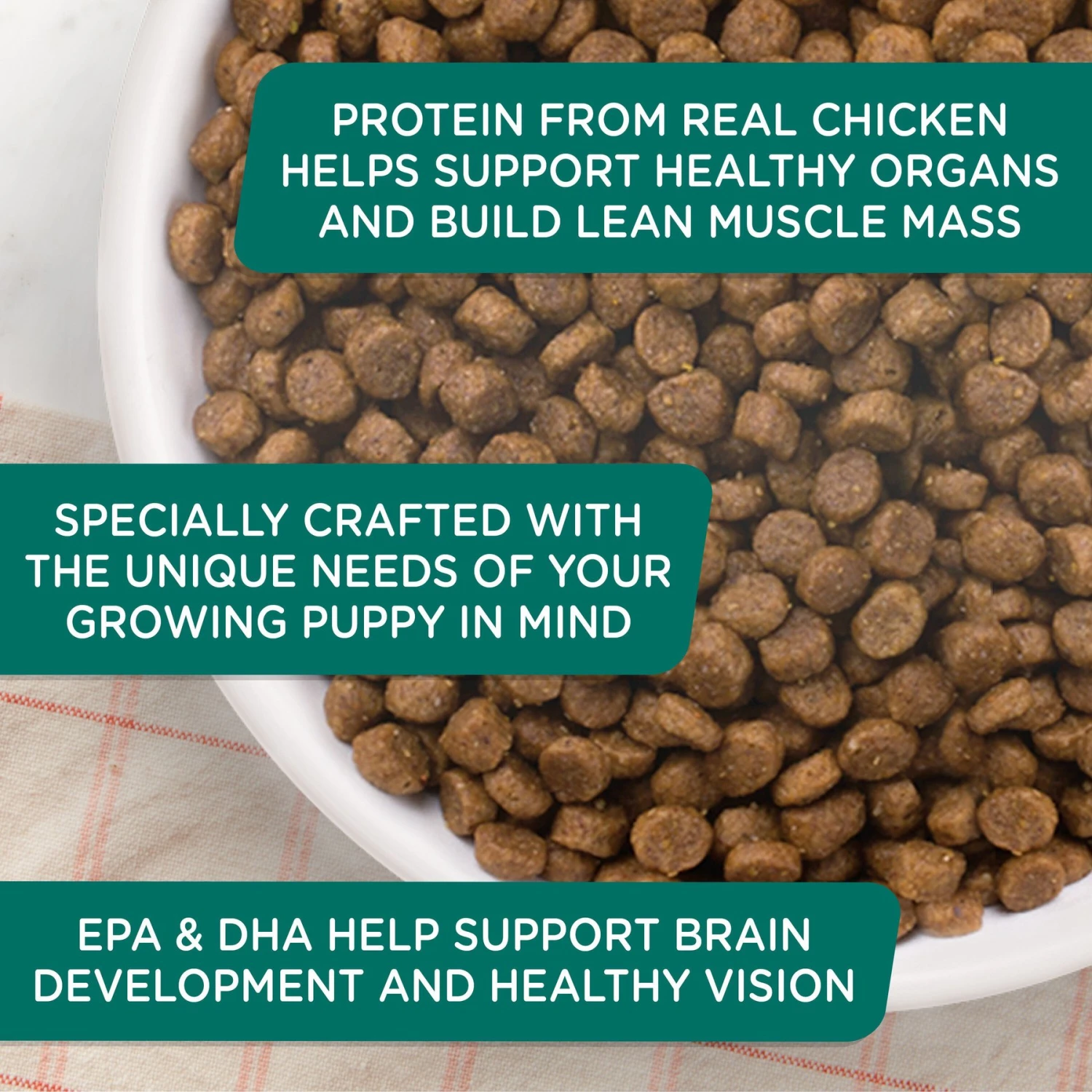 Rachael Ray Nutrish Bright Puppy Natural Real Chicken & Brown Rice Recipe Dry Dog Food 11 Rachael Ray Nutrish Bright Puppy Natural Real Chicken & Brown Rice Recipe Dry Dog Food - Image 9