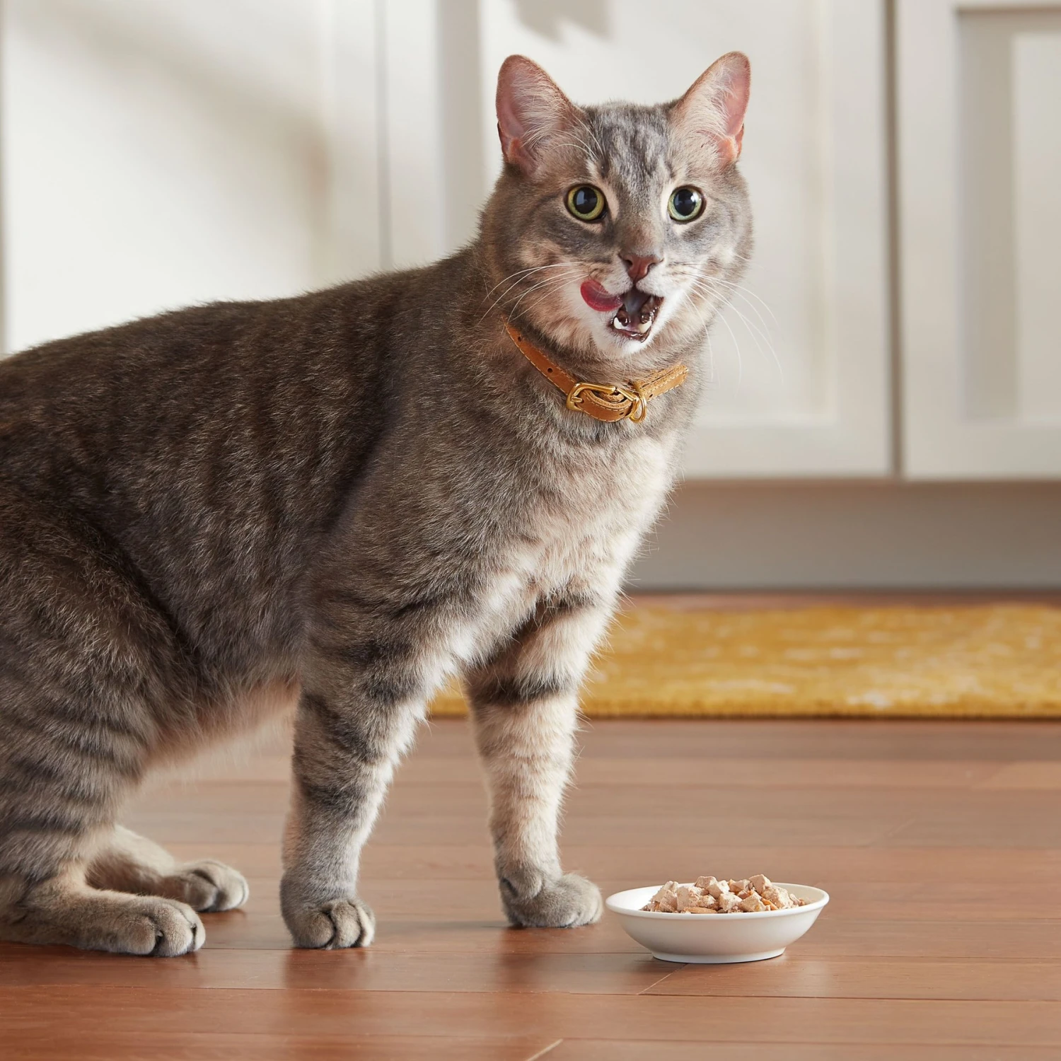 Meow Mix Chunks In Gravy With Real Chicken Breast Wet Cat Food 9 Meow Mix Chunks In Gravy With Real Chicken Breast Wet Cat Food - Image 7