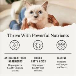 American Journey Chicken Recipe Grain-Free Dry Cat Food -Blue Buffalo Shop 131578 PT4. AC SS1800 V1668737142