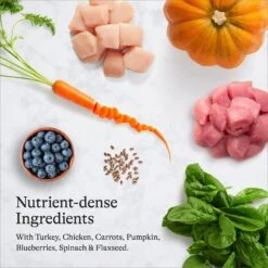 American Journey Turkey & Chicken Recipe Grain-Free Dry Cat Food -Blue Buffalo Shop 131581 PT5. AC SS1800 V1680787064