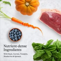 American Journey Duck Recipe Grain-Free Dry Cat Food -Blue Buffalo Shop 131584 PT5. AC SS1800 V1680787075