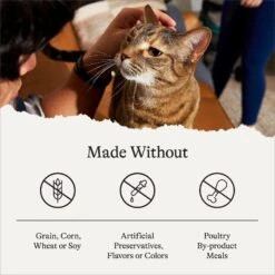 American Journey Duck Recipe Grain-Free Dry Cat Food -Blue Buffalo Shop 131584 PT6. AC SS1800 V1680787123