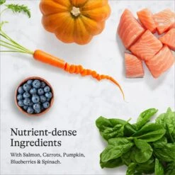 American Journey Salmon Recipe Grain-Free Dry Cat Food -Blue Buffalo Shop 131588 PT5. AC SS1800 V1680787135