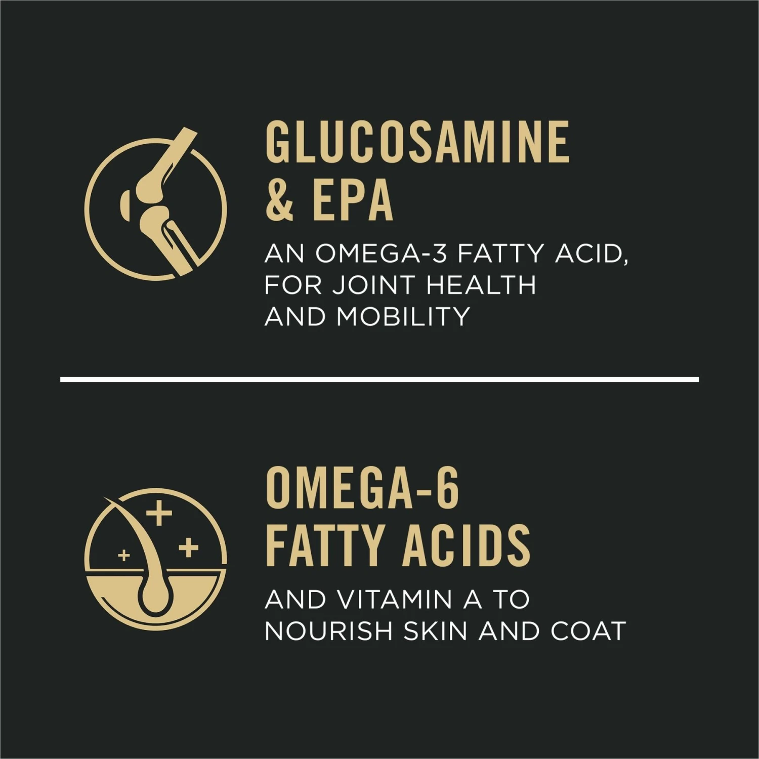 Purina Pro Plan Sport Performance All Life Stages High-Protein 30/20 Chicken & Rice Formula Dry Dog Food 9 Purina Pro Plan Sport Performance All Life Stages High-Protein 30/20 Chicken & Rice Formula Dry Dog Food - Image 7