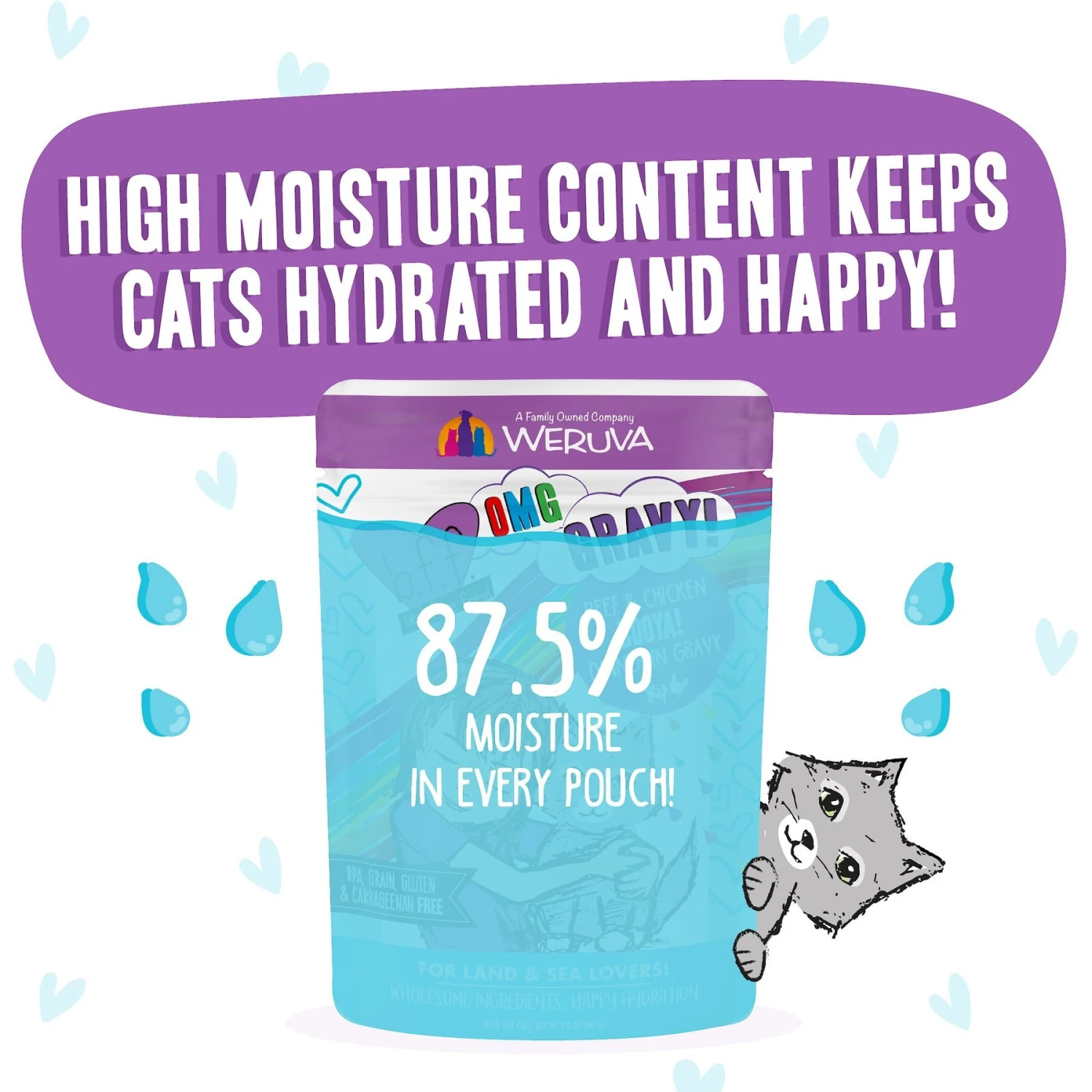 BFF OMG Booya! Beef & Chicken Dinner In Gravy Grain-Free Cat Food Pouches 6 BFF OMG Booya! Beef & Chicken Dinner In Gravy Grain-Free Cat Food Pouches - Image 4