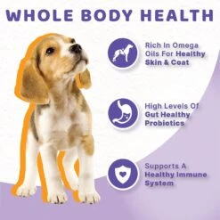 Halo Chicken Recipe Grain-Free Puppy Canned Dog Food -Blue Buffalo Shop 133085 PT4. AC SS1800 V1625582615