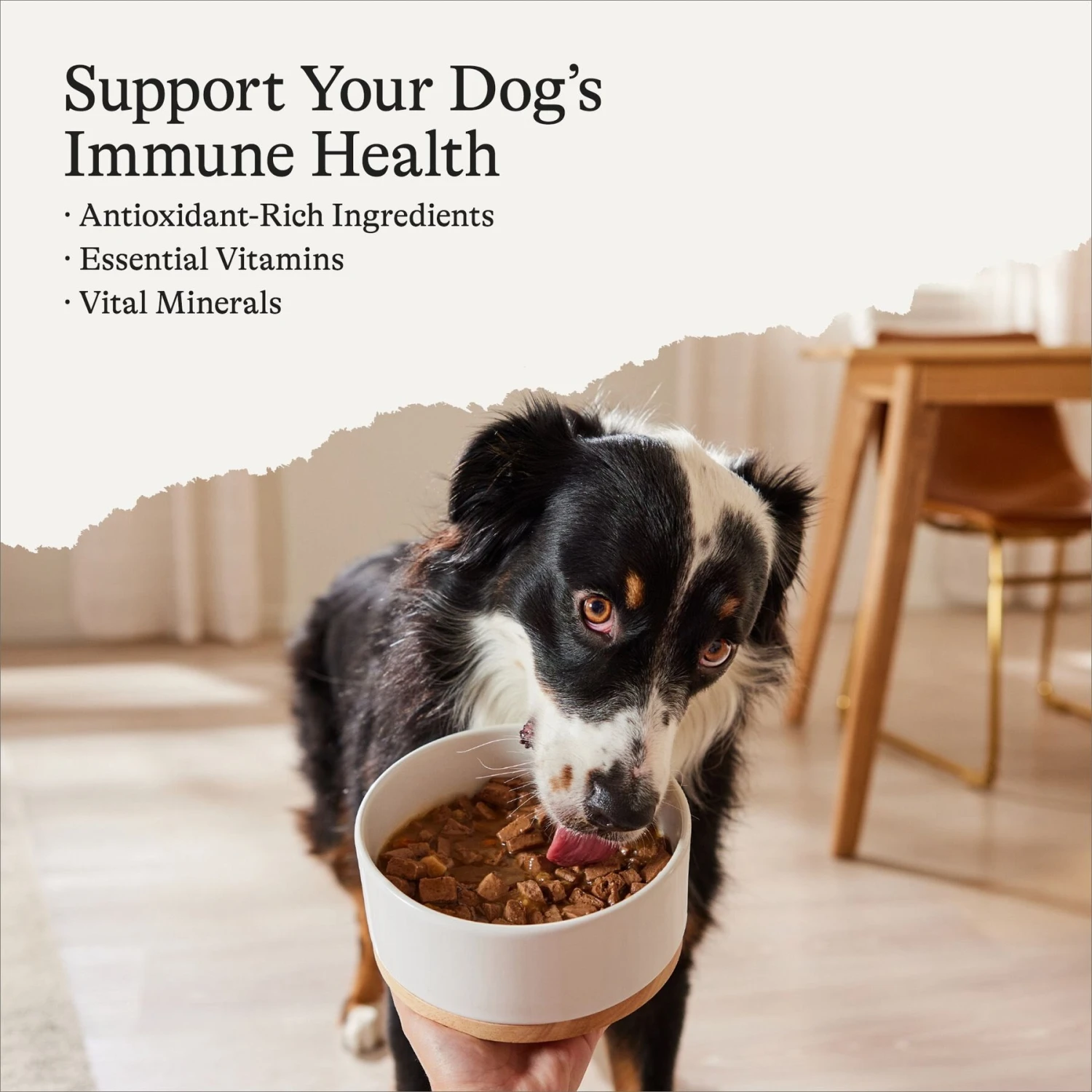 American Journey Stews Poultry & Beef Variety Pack Grain-Free Canned Dog Food, 12.5-oz Can 4 American Journey Stews Poultry & Beef Variety Pack Grain-Free Canned Dog Food, 12.5-oz Can - Image 2