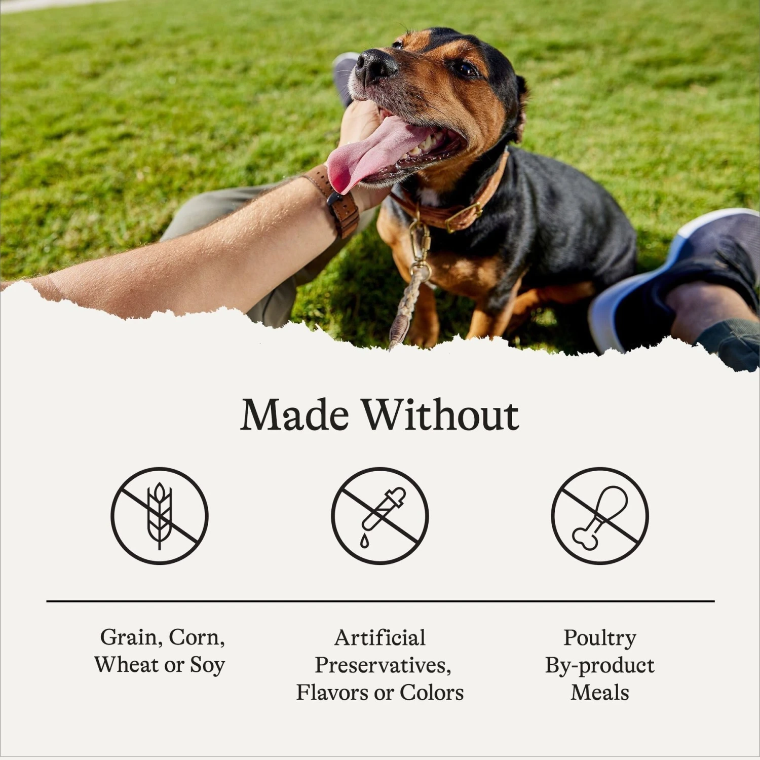 American Journey Stews Poultry & Beef Variety Pack Grain-Free Canned Dog Food, 12.5-oz Can 8 American Journey Stews Poultry & Beef Variety Pack Grain-Free Canned Dog Food, 12.5-oz Can - Image 6