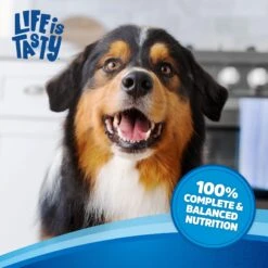 Kibbles 'n Bits Original Savory Beef & Chicken Flavors Dry Dog Food 16 Kibbles 'n Bits Original Savory Beef & Chicken Flavors Dry Dog Food -Blue Buffalo Shop 134039 PT5. AC SS1800 V1693496079