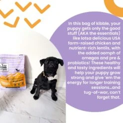 I And Love And You Naked Essentials Puppy Recipe Grain-Free Dry Puppy Food -Blue Buffalo Shop 134894 PT2. AC SS1800 V1692293445