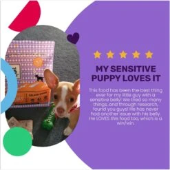 I And Love And You Naked Essentials Puppy Recipe Grain-Free Dry Puppy Food -Blue Buffalo Shop 134894 PT3. AC SS1800 V1692293385