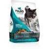 Nulo Freestyle Salmon & Turkey Recipe With Strawberries Grain-Free Freeze-Dried Raw Dog Food -Blue Buffalo Shop 135482 MAIN. AC SS1800 V1667918597