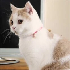 Necoichi Chirimen Clover Breakaway Cat Collar With Bell -Blue Buffalo Shop 137007 PT6. AC SS1800 V1688753306