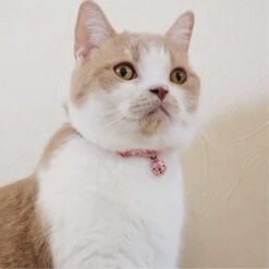 Necoichi Chirimen Clover Breakaway Cat Collar With Bell -Blue Buffalo Shop 137007 PT7. AC SS1800 V1688751580