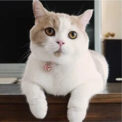 Necoichi Chirimen Clover Breakaway Cat Collar With Bell -Blue Buffalo Shop 137007 PT8. AC SS1800 V1688753978