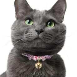 Necoichi Chirimen Fireworks Breakaway Cat Collar With Bell -Blue Buffalo Shop 137011 PT5. AC SS1800 V1688753865