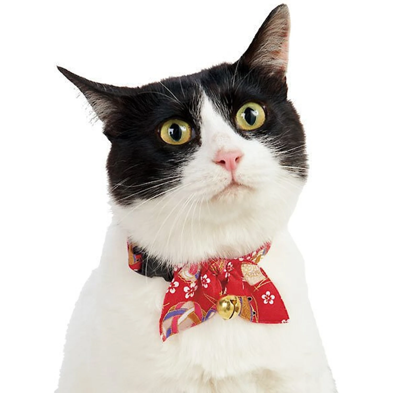 Necoichi Oribon Kimono Bow Tie Cotton Breakaway Cat Collar With Bell 4 Necoichi Oribon Kimono Bow Tie Cotton Breakaway Cat Collar With Bell - Image 2