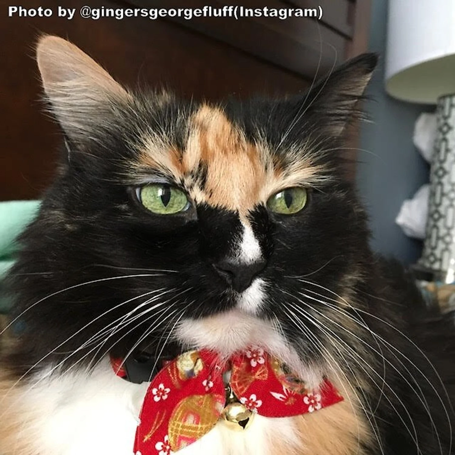 Necoichi Oribon Kimono Bow Tie Cotton Breakaway Cat Collar With Bell 5 Necoichi Oribon Kimono Bow Tie Cotton Breakaway Cat Collar With Bell - Image 3