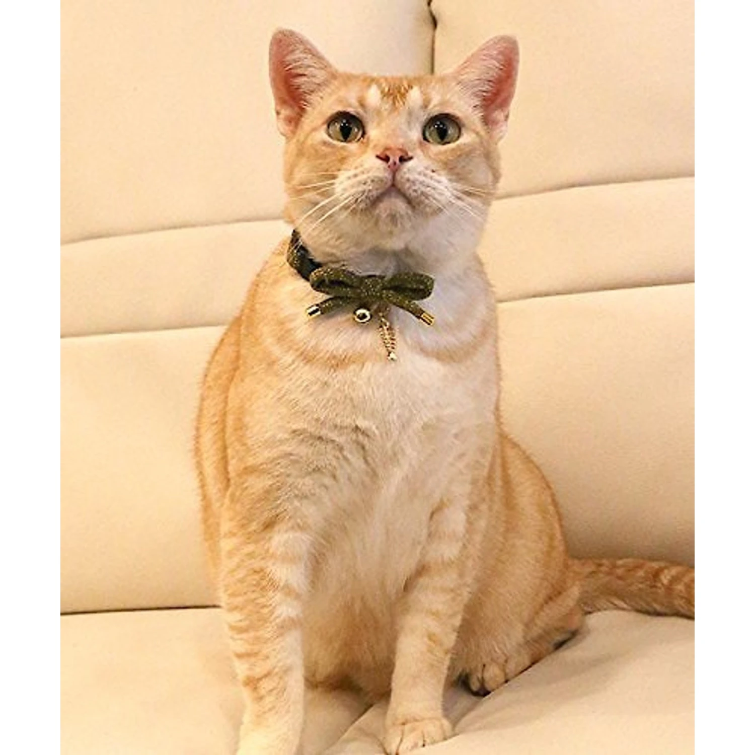 Necoichi Zen Gold Fish Charm Cotton Breakaway Cat Collar With Bell 4 Necoichi Zen Gold Fish Charm Cotton Breakaway Cat Collar With Bell - Image 2