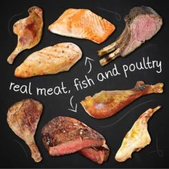 Hound & Gatos 98% Gamebird Poultry Formula Grain-Free Canned Cat Food 12 Hound & Gatos 98% Gamebird Poultry Formula Grain-Free Canned Cat Food -Blue Buffalo Shop 138373 PT5. AC SS1800 V1594851063