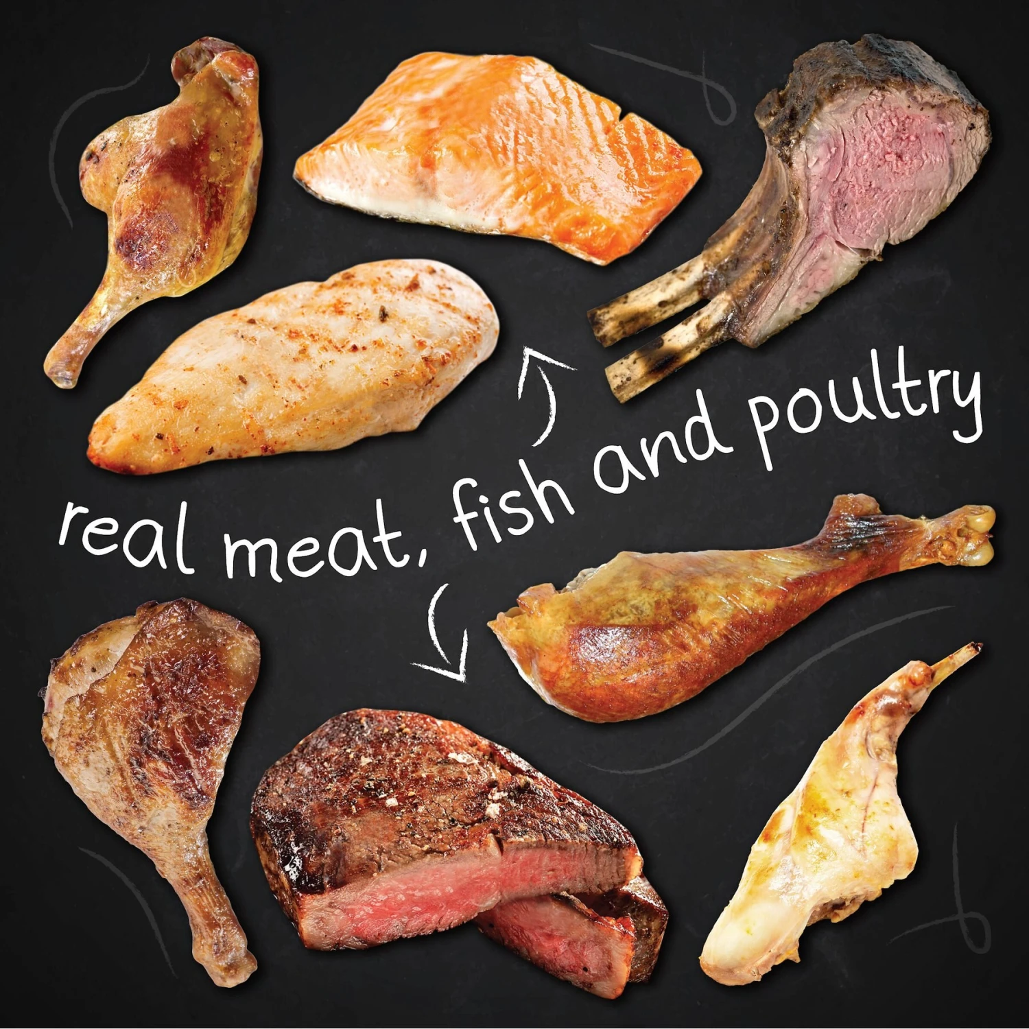 Hound & Gatos 98% Gamebird Poultry Formula Grain-Free Canned Cat Food 6 Hound & Gatos 98% Gamebird Poultry Formula Grain-Free Canned Cat Food - Image 4