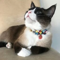 Necoichi Chirimen Daruma Charm Breakaway Cat Collar With Bell -Blue Buffalo Shop 138927 PT5. AC SS1800 V1510603688