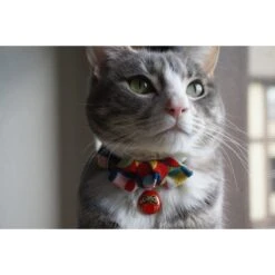 Necoichi Chirimen Daruma Charm Breakaway Cat Collar With Bell -Blue Buffalo Shop 138927 PT6. AC SS1800 V1510603711