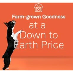 CANIDAE Under The Sun Grain-Free Lamb Recipe Adult Dry Dog Food 14 CANIDAE Under The Sun Grain-Free Lamb Recipe Adult Dry Dog Food -Blue Buffalo Shop 138974 PT4. AC SS1800 V1661192778