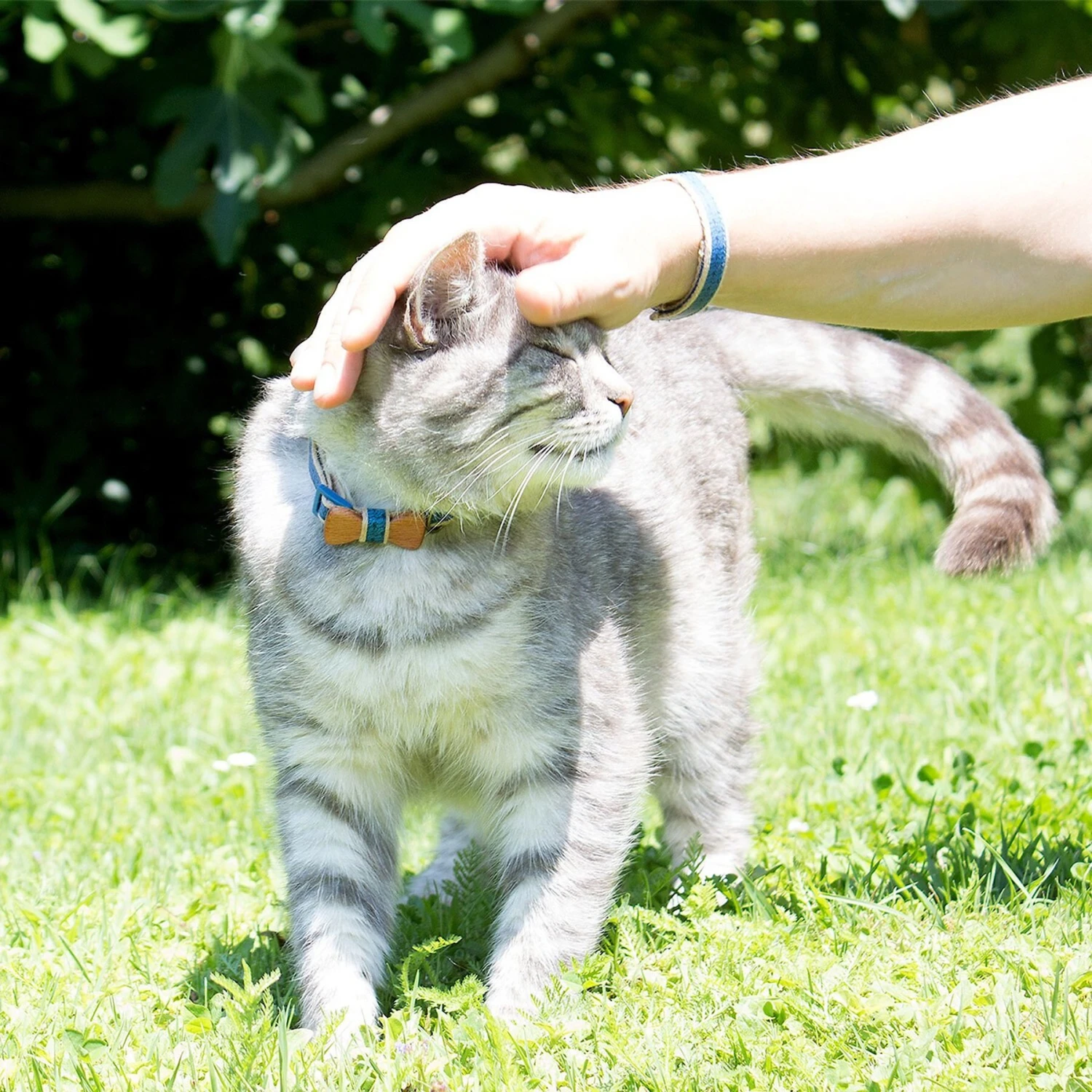 Pettsie Bow Tie Cotton Breakaway Cat Collar With Friendship Bracelet 6 Pettsie Bow Tie Cotton Breakaway Cat Collar With Friendship Bracelet - Image 4