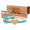 Pettsie Heart Cotton Breakaway Cat Collar With Friendship Bracelet -Blue Buffalo Shop 139120 MAIN. AC SS1800 V1521470609