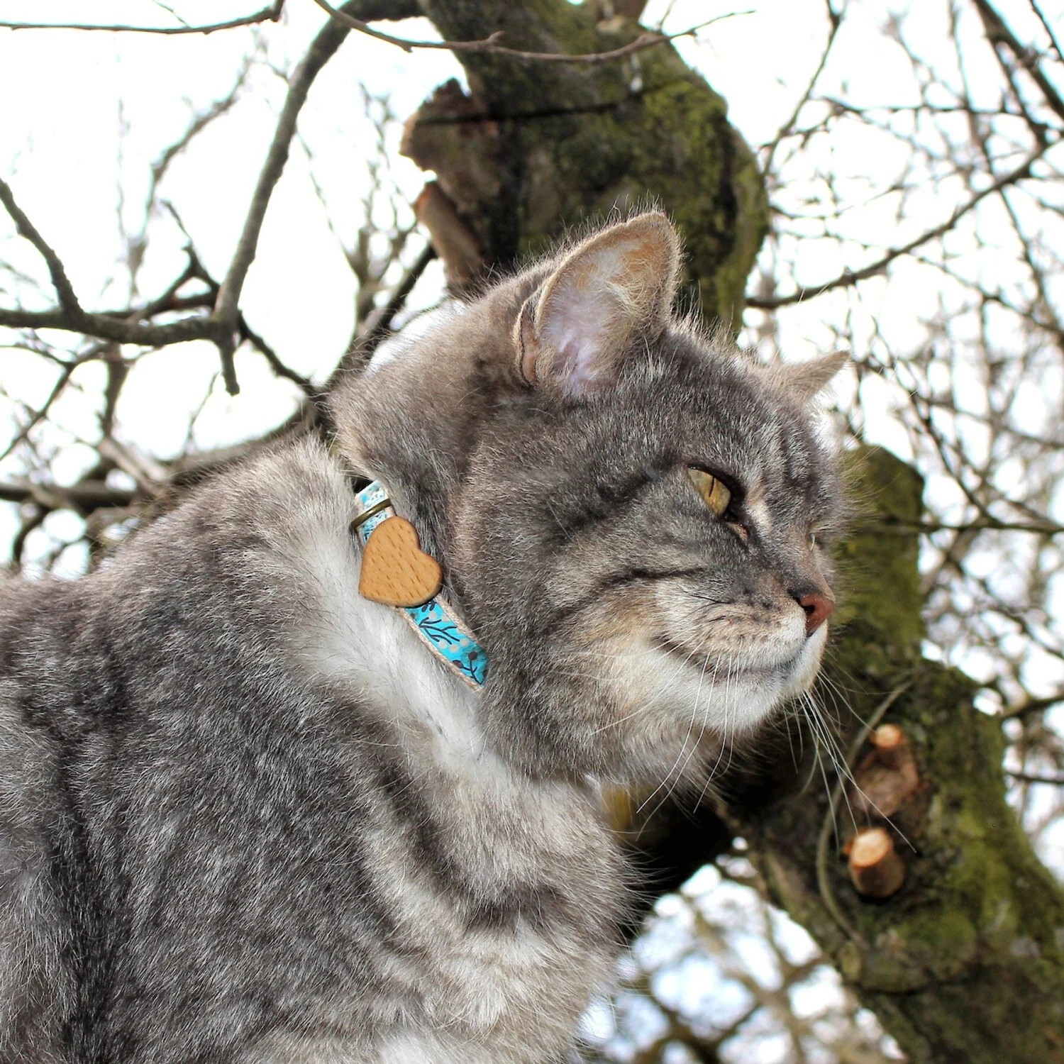 Pettsie Heart Cotton Breakaway Cat Collar With Friendship Bracelet 6 Pettsie Heart Cotton Breakaway Cat Collar With Friendship Bracelet - Image 4