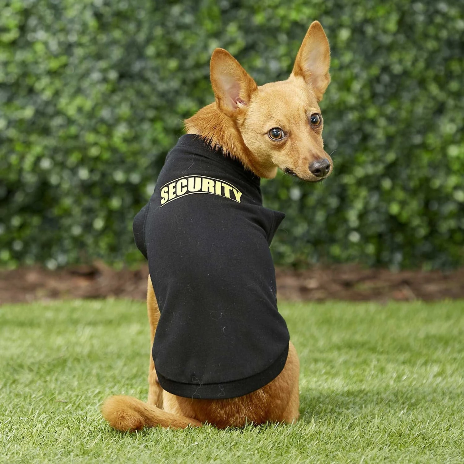 Frisco Security Dog & Cat T-Shirt 9 Frisco Security Dog & Cat T-Shirt - Image 7