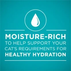 Purina ONE Grain-Free Variety Pack Natural High Protein Canned Cat Food, 3-oz, Case Of 24 -Blue Buffalo Shop 140462 PT3. AC SS1800 V1657655538