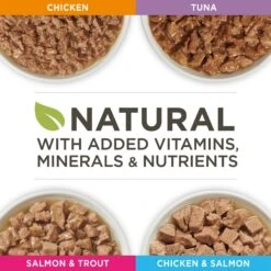 Purina ONE True Instinct 4 Flavors Variety Pack Canned Cat Food -Blue Buffalo Shop 140464 PT2. AC SS1800 V1641587208