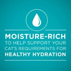 Purina ONE True Instinct 4 Flavors Variety Pack Canned Cat Food -Blue Buffalo Shop 140464 PT3. AC SS1800 V1641584577