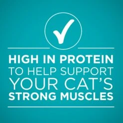 Purina ONE True Instinct 4 Flavors Variety Pack Canned Cat Food -Blue Buffalo Shop 140464 PT6. AC SS1800 V1641587578