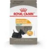 Royal Canin Canine Care Nutrition Small Sensitive Skin Care Dry Dog Food, 3-lb Bag -Blue Buffalo Shop 140500 MAIN. AC SS1800 V1697139231