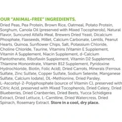 V-Dog Kind Kibble Mini Bites Vegan Adult Dry Dog Food 9 V-Dog Kind Kibble Mini Bites Vegan Adult Dry Dog Food -Blue Buffalo Shop 140708 PT3. AC SS1800 V1644336698