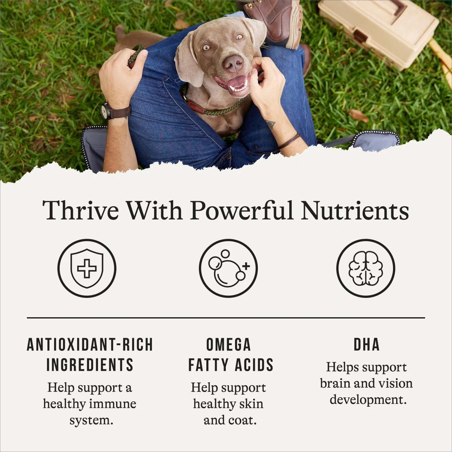 American Journey Limited Ingredient Venison & Sweet Potato Recipe Grain-Free Dry Dog Food 7 American Journey Limited Ingredient Venison & Sweet Potato Recipe Grain-Free Dry Dog Food - Image 5