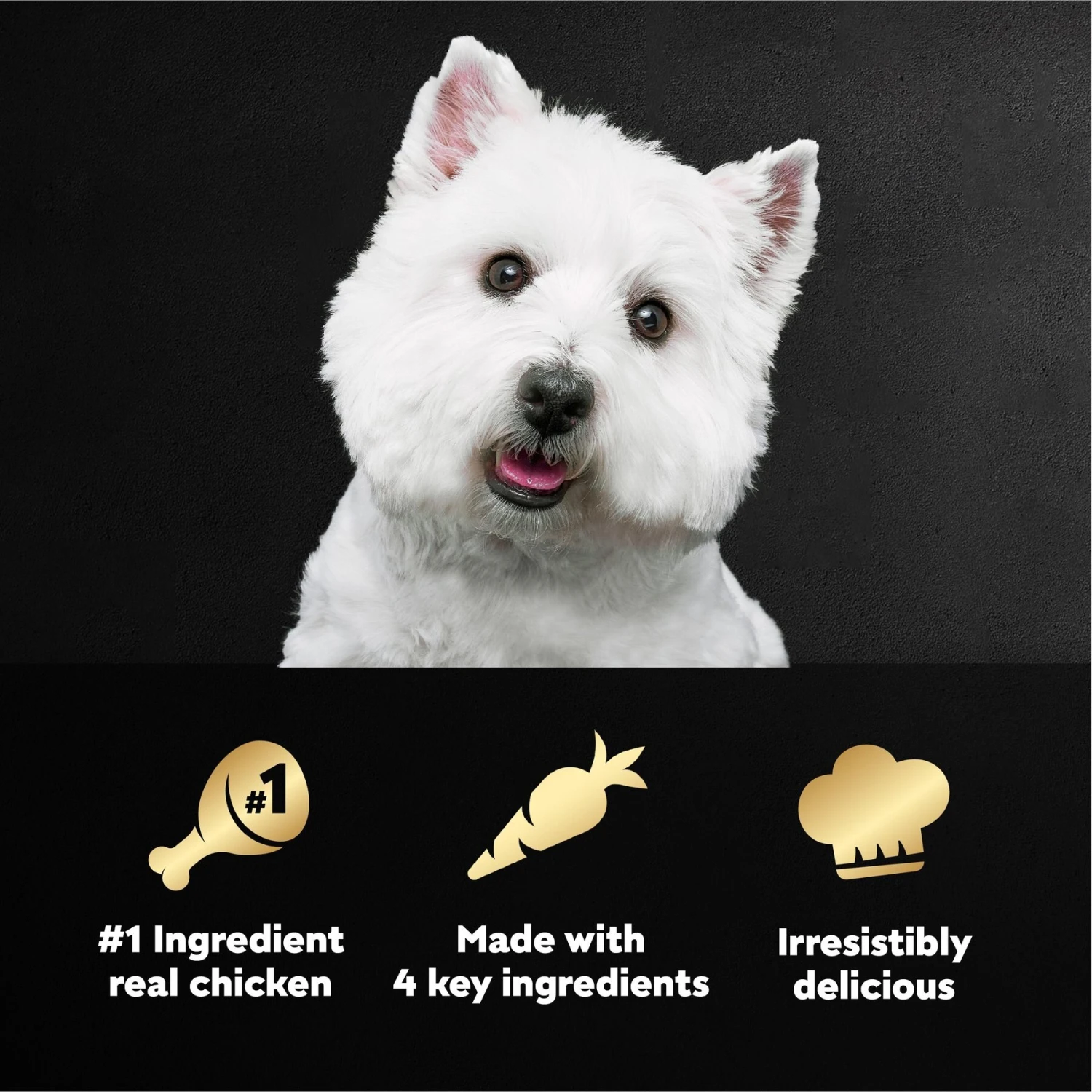 Cesar Simply Crafted Chicken, Carrots, Potatoes & Peas Limited-Ingredient Adult Wet Dog Food Topper 10 Cesar Simply Crafted Chicken, Carrots, Potatoes & Peas Limited-Ingredient Adult Wet Dog Food Topper - Image 8