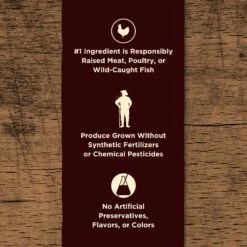 Castor & Pollux PRISTINE Grain-Free Wild-Caught Salmon Recipe Pate Canned Cat Food -Blue Buffalo Shop 141130 PT3. AC SS1800 V1702939231