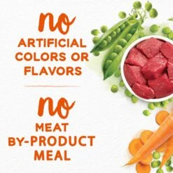 Purina Beneful Simple Goodness With Farm-Raised Beef Dry Dog Food 17 Purina Beneful Simple Goodness With Farm-Raised Beef Dry Dog Food -Blue Buffalo Shop 141256 PT6. AC SS1800 V1695736093